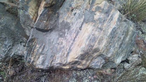 Гигантские зелёные валуны для ландшафтного дизайна весом более 5 тонн купить в Ялуторовске